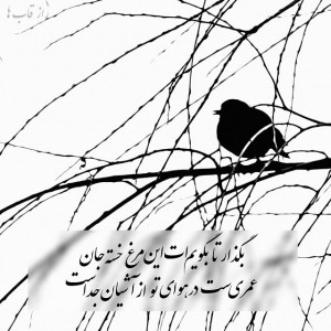 RaazeGhabha Persian Star.org 02 300x300 گلبرگ سرخ عکس نوشته های زیبا شماره دوم