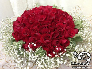 gsga 17 300x225 عیدی سایت گل سرخ غریب آشنا به مناسبت سال جدید